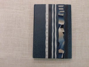 Libro en Piel azul de Búfalo con aplicaciones